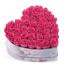 Pink Hearth