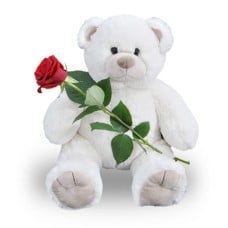 Tedy Bear and Red Roses
