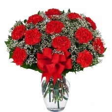 12 Red Carnations