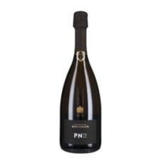 Champagne Blanc de Noirs 'PN TX20' Bollinger