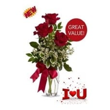 12 Red Roses Classic Roses Classic
