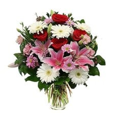 Colored Gerberas