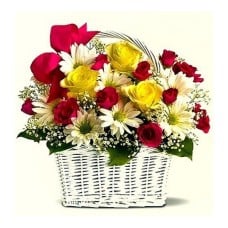 Basket Of Mixed Seasonal Flowers Basket Mixed Seasonal Flowers