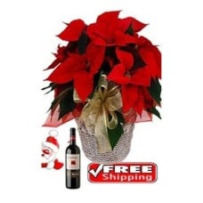 Poinsettia Wine Poinsettia Wine