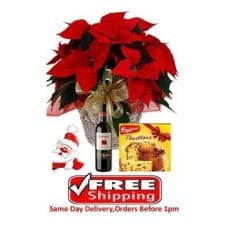 Poinsettia Wine & Panettone Poinsettia Wine & Panettone