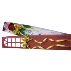 flower box-13-1