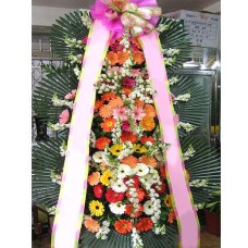 standing spray-3 step-1 (Small)