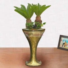 Sochul-B (Small)