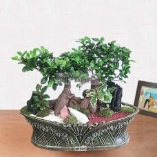 Penda jinsaeng-K (Small)