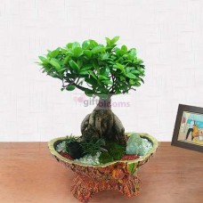 Penda jinsaeng-M (Small)