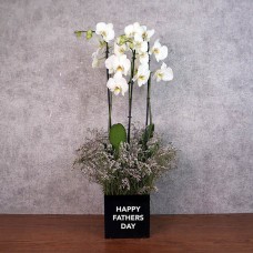 Gardenia