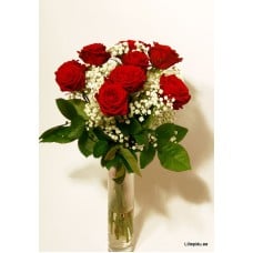 Bouquet of red roses and Gypsophila (9 Roses)
