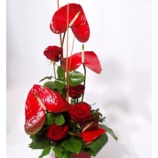 Arrangement of red Anthuriums and Roses in container (Classic)