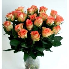 Bunch of pink roses, 50cm (15 Roses)