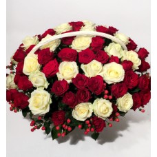 Big flower of white and red roses