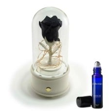 Black Eternal Rose Bluetooth Speaker