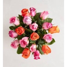 Sorbet Roses (18 Stems Bouquet Only)