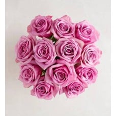 Passion for Purple Roses (12 Stems, Bouquet Only)