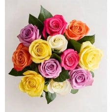 One Dozen Assorted Roses for Romance (Bouquet Only)