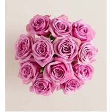 Mother's Day Passion for Purple Roses (12 Stems, Bouquet Only)