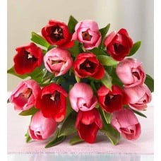 Sweetest Love Tulips (15 Stems, Bouquet Only)
