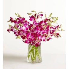 Exotic Breeze™ Orchids (10 Stems with Blue Vase &amp; Windchime)
