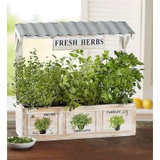Herb Garden Trio (Herb Garden)