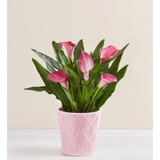 Sweet Blooms Calla Lily Large Pink with Windchime
