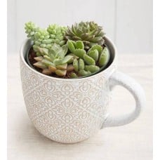 Artisan Mug Succulent Garden