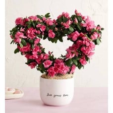Love Grows Here Azalea Topiary
