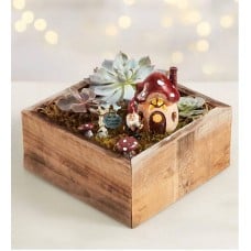 Welcome Gnome Succulent Garden