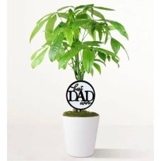 Best Dad Ever Money Tree