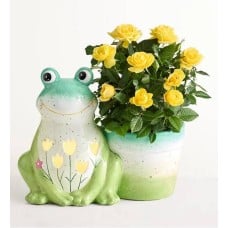 Froggy Spring Garden Plant