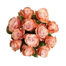 Watercolor Roses: Sienna (Bouquet Only)