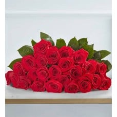 Sparkle Her Day Two Dozen Red Roses (Bouquet Only)