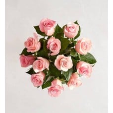 Precious Pink Roses, 12 Stems (Bouquet Only)