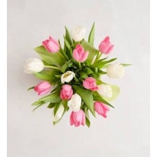 Sweet Spring Tulip Bouquet (15 Stems, Bouquet Only)