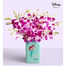 Disney's Ariel Ocean Splash Orchids