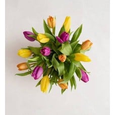 Assorted Tulip Bouquet (15 Stems, Bouquet Only)