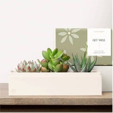 Lula's Garden - Get Well Deluxe Gardens (Jewel Garden)
