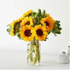 Shimmering Sunflower Bouquet (10 Stems)