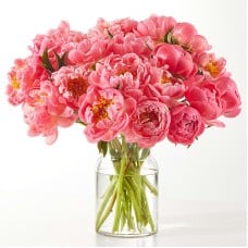 Best Bunch Peony Bouquet (Standard)