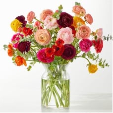 Mesmerizing Ranunculus Bouquet (Standard)