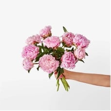Fresh Peony Bouquet (Standard)