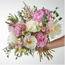 Cotton Candy Peony Bouquet (Standard)