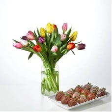 Picnic Tulips Bouquet and Berry Bundle (15 Tulips with Berries)