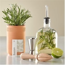 Cocktail Infusion Kit