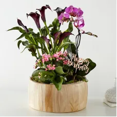 Happy Birthday Orchid Garden