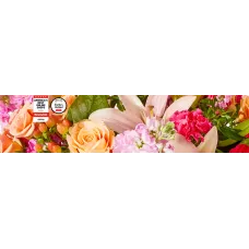 3 Red Roses with greenery