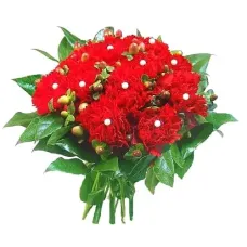 Flowers- carnations